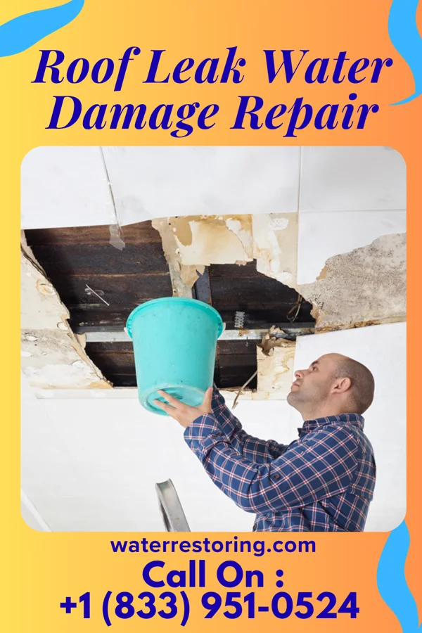 Roof Leak Water Damage Repair in Wheaton, MN